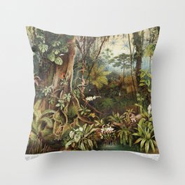 Vintage drawing of tropical forest plants from the beginning of 20th century period - Picture from Meyers Lexicon books collection (written in German language) published in 1908, Germany.  Throw Pillow