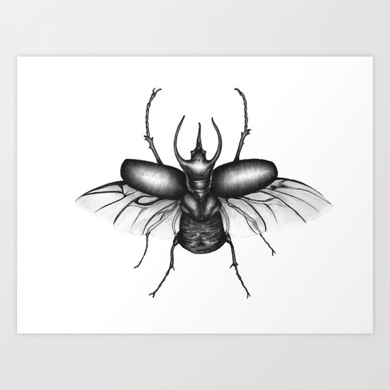 Beetle Wings Art Print