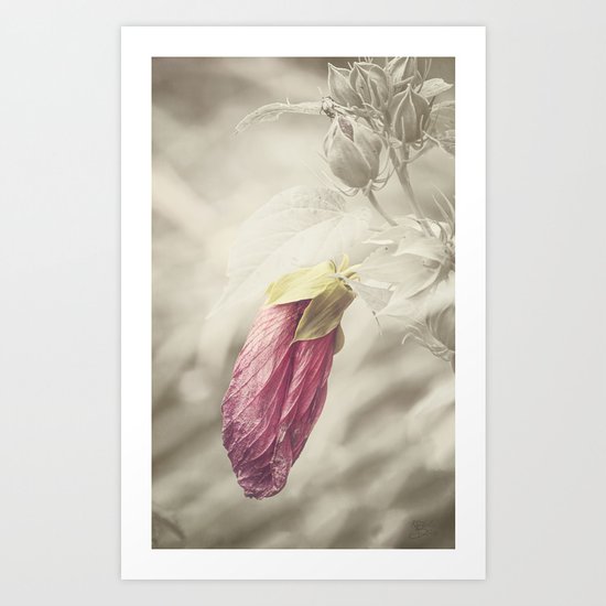 Beauty knows no Age Art Print