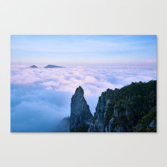 Nature's Cotton Candy Canvas Print