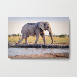 GRAY ELEPHANT WALKING NEAR RIVER IN THE MORNING Metal Print | Wildlife, Natural, Animal, Nature, River, Bewild, Gray, Photo, Morning, Vintage 