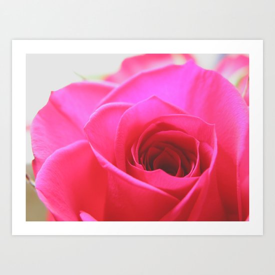 Pink Roses #2 Art Print