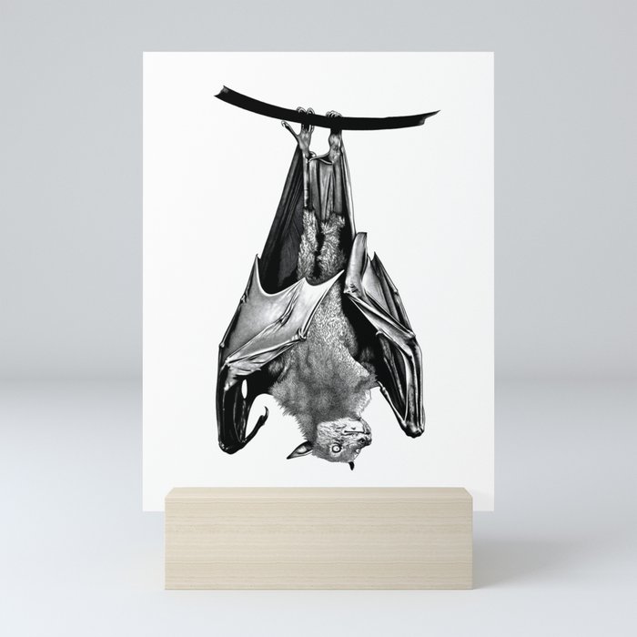 Fly bat, fly! Mini Art Print