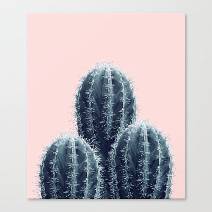 Navy Blue Blush Cacti Love #1 #plant #decor #art #society6 Canvas Print