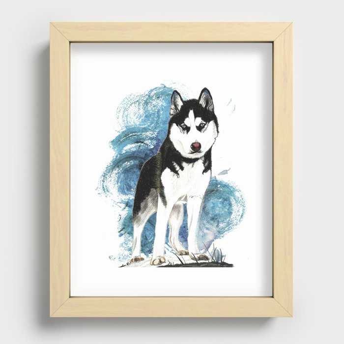 Siberian Husky Recessed Framed Print