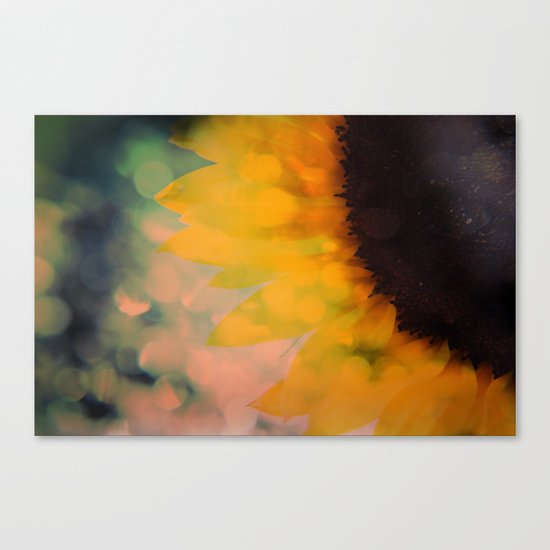 Sunflower I (mini series) Canvas Print