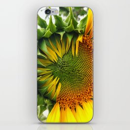 Sunflower Meditation / Partly Sunny  iPhone Skin