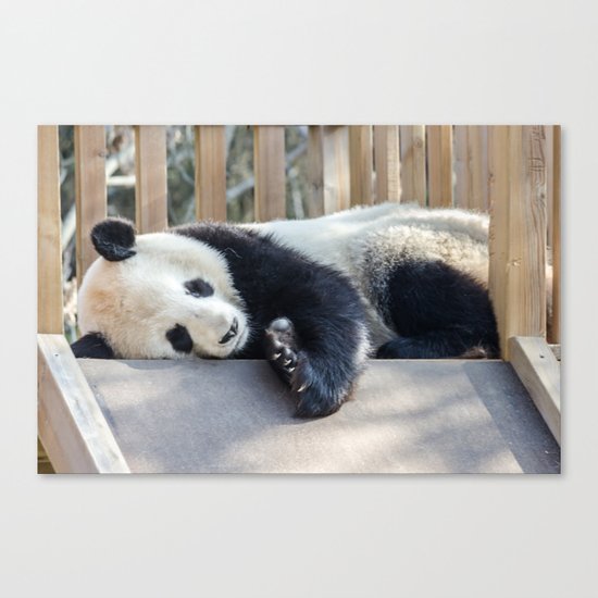 Sweet dreams Canvas Print