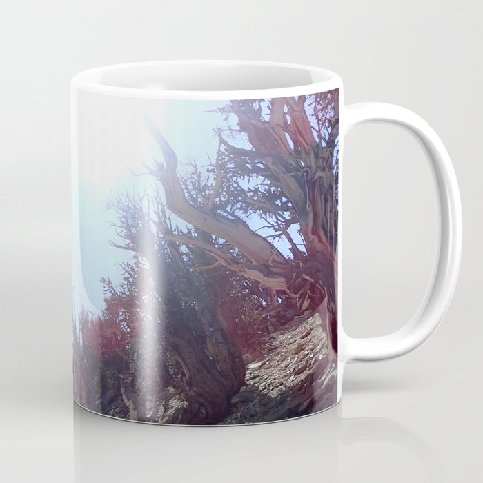 Ancient bristlecone pine forest Coffee Mug