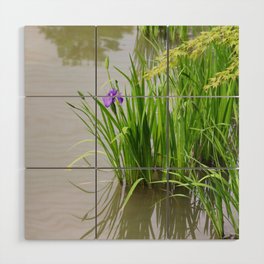 Water Iris flower in Kyoto Wood Wall Art