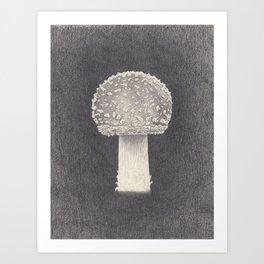 Radium Amanitas mushroom Art Print