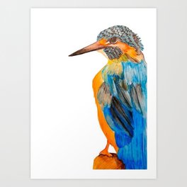 Martin Pescatore Bird Art Print