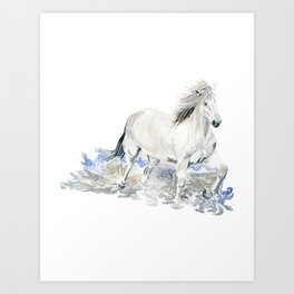 Wild White Horse Art Print