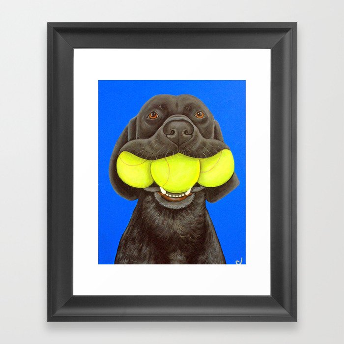 Black Lab with Tennis Balls Framed Art Print