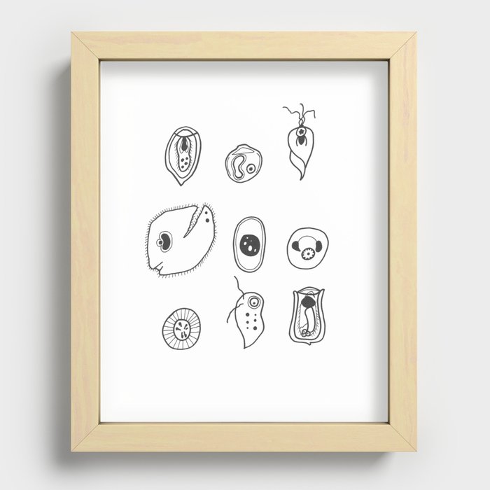 GUT BACTERIA Recessed Framed Print