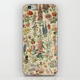 French Vintage Flowers Chart Adolphe Millot Fleurs Larousse Pour Tous Poster  iPhone Skin