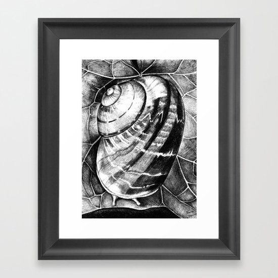 Snail Framed Art Print