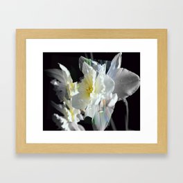 Daffodils Framed Art Print