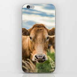 Summer in the Country with the Cows iPhone Skin