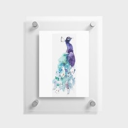 Peacock Floating Acrylic Print