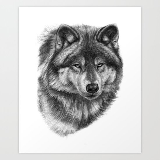Canis Lupus SK0105 Art Print