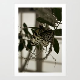 Flutter Art Print