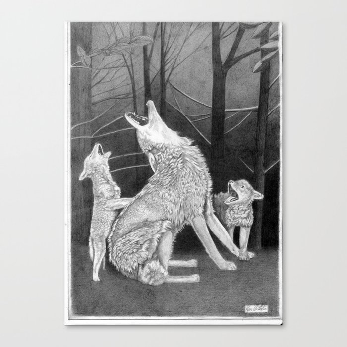 Howling Practice  Canvas Print