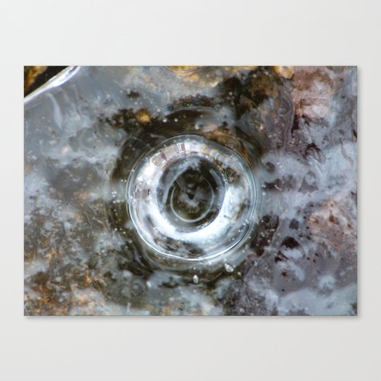 ice X Canvas Print
