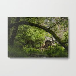 Pen Y Garreg Dam Metal Print | Nature, Water, Cymru, Wales, Green, Landscape, Natural, Aberystwyth, Penygarreg, Overgrown 