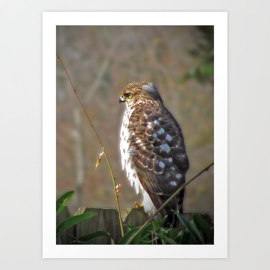 A Hunter in a Farmer's World Art Print