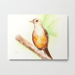 Sabiá Laranjeira Metal Print | Bird, Brasil, Painting, Illustration, Watercolor 