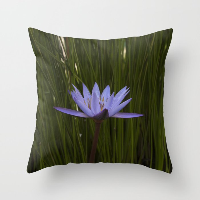 Lilly Throw Pillow