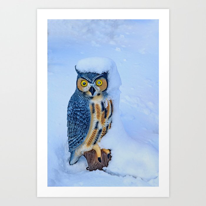 Snow Owl Art Print