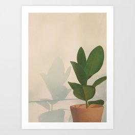Little Pot Plant Art Print