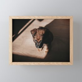 tiny friend Framed Mini Art Print