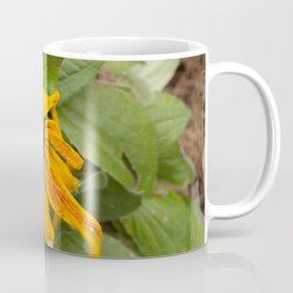 Old Yellow Flower Coffee Mug