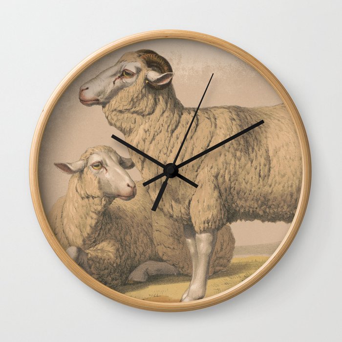 Vintage Domestic Sheep Illustration (1874) Wall Clock