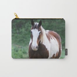 Tennessee Painted Pony Carry-All Pouch | Animal, Pet, Tennessee, Paintedpony, Painthorse, Horse, Pony, Equine, Photo 
