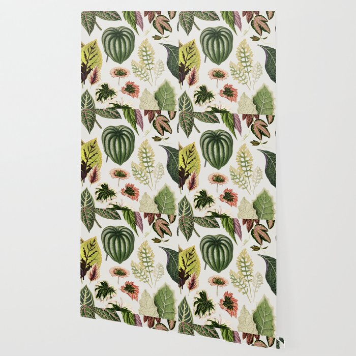 Botanical Print Wallpaper By Newburydesigns Society6