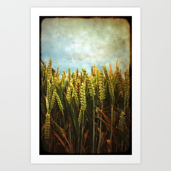 Corn Art Print