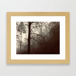 Fairytale Forest 3 Framed Art Print