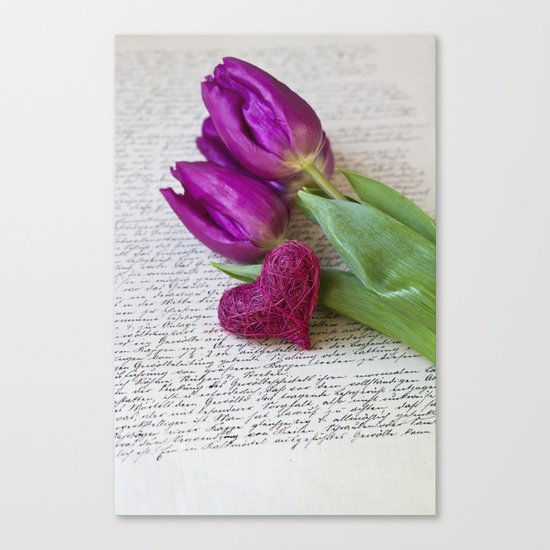 pink spring Tulips with heart Canvas Print