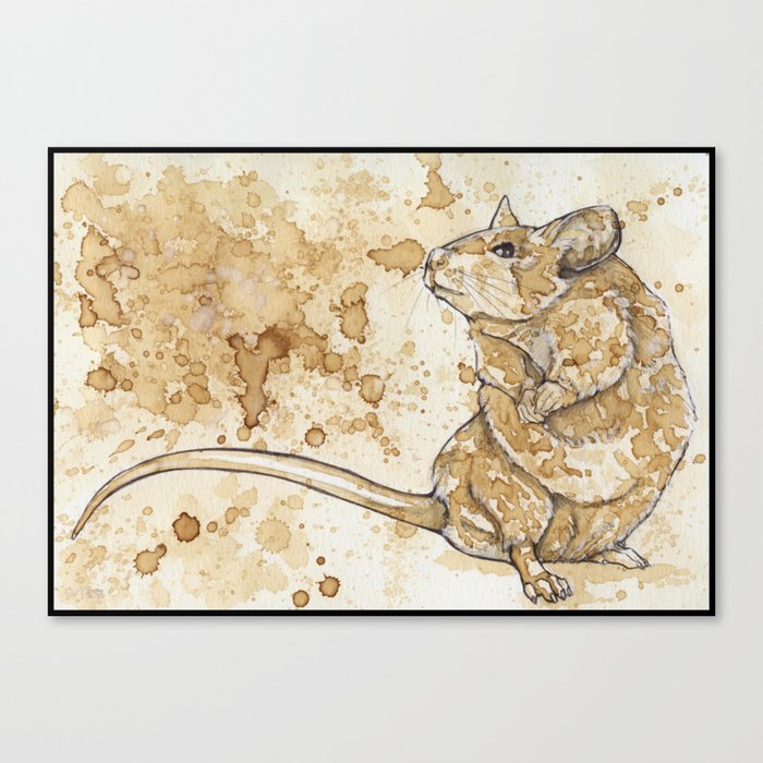 Coffee Rat Canvas Print