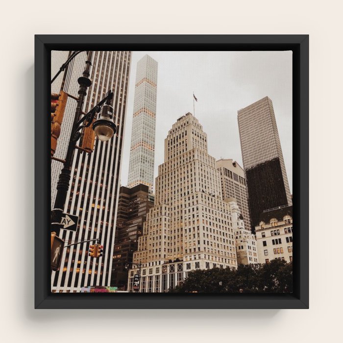 Framed Canvas