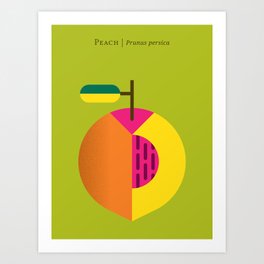 Fruit: Peach Art Print