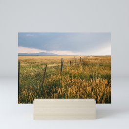 Golden Fields of Colorado Mini Art Print
