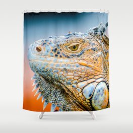 Mexico Photography - Green Iguana Relaxing Under The Sun Shower Curtain