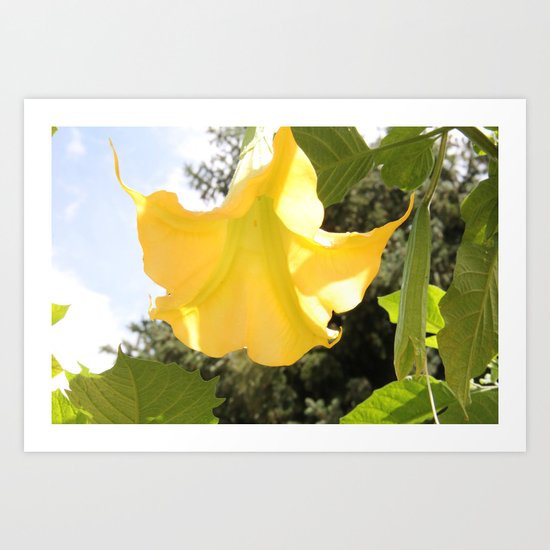 Soulful Sunshine Art Print
