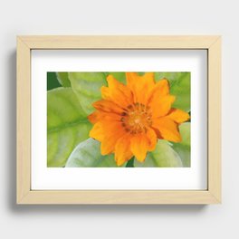 Orange Flower Recessed Framed Print