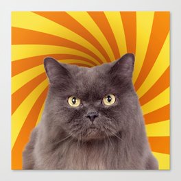 cat hypnotic Canvas Print